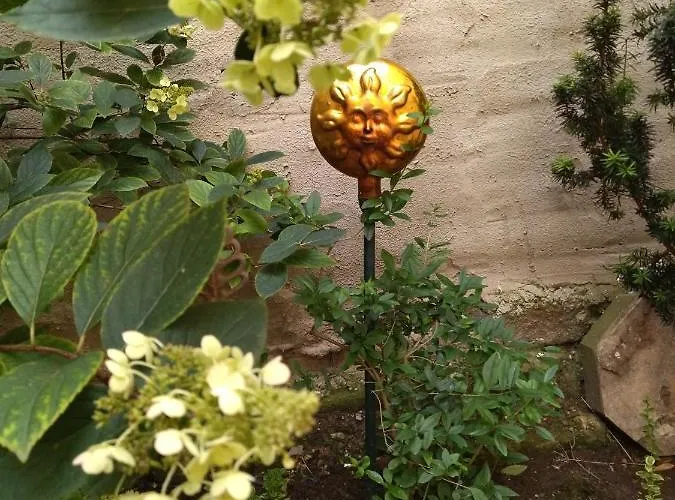 Schmal & Hoch - Willkommen Im Schmalsten Haus Von * Bad Frankenhausen