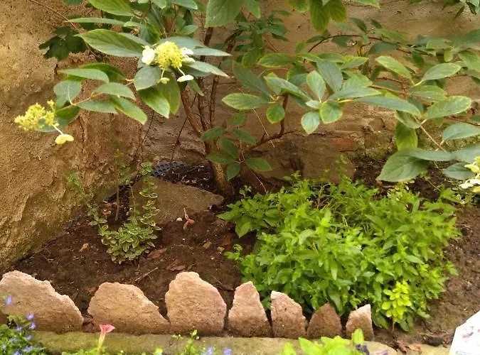 Vakantiehuis Schmal & Hoch - Willkommen Im Schmalsten Haus Von